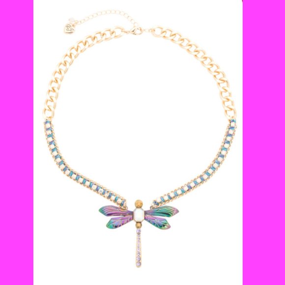 NWT Betsey Johnson Bug Collector Dragonfly Necklace + Earrings SET - Picture 8 of 16